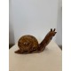 Escargot, petit modèle